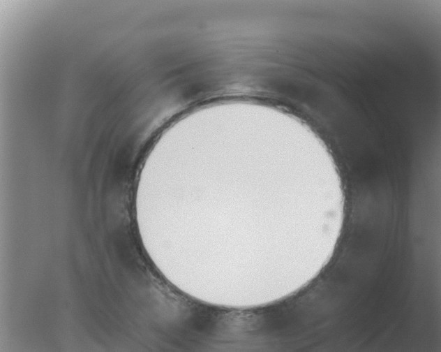 X0000077361314200610271844