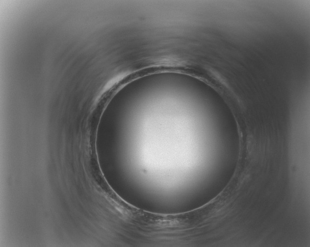 X0000077361315200610271844