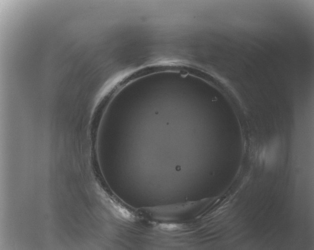 X0000077361319200610271844