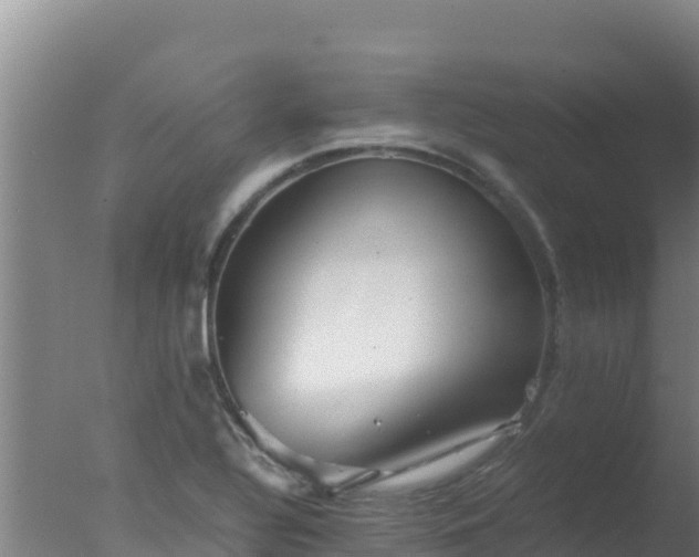 X0000077361320200610271844