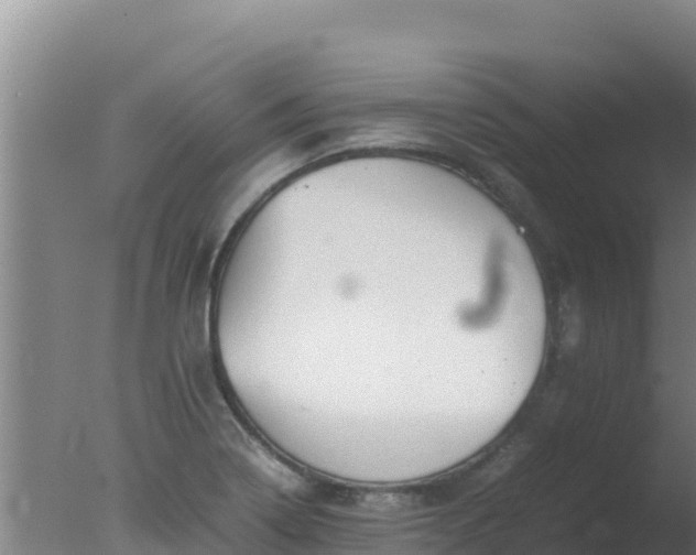 X0000077361322200610271844