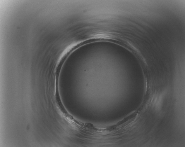 X0000077361323200610271844