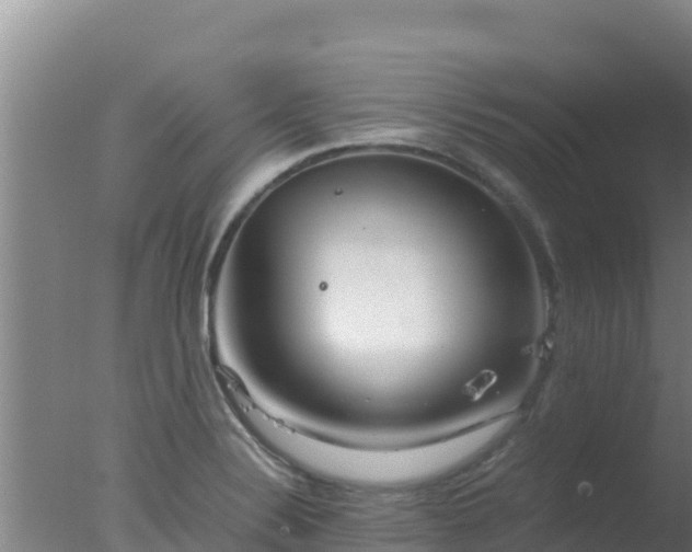 X0000077361324200610271844