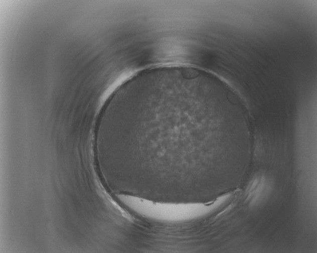 X0000077361325200610271844