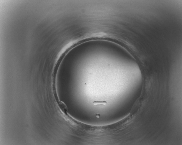 X0000077361326200610271844