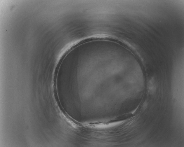 X0000077361327200610271844