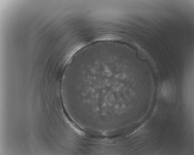 X0000077361329200610271844