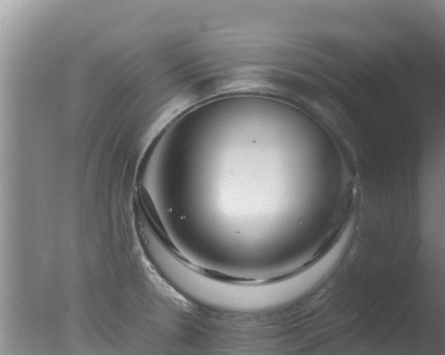 X0000077361330200610271844