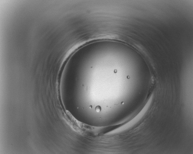 X0000077361332200610271844