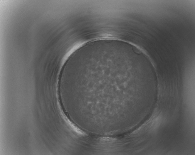 X0000077361333200610271844