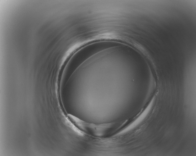 X0000077361334200610271844