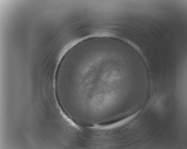 X0000077361335200610271844