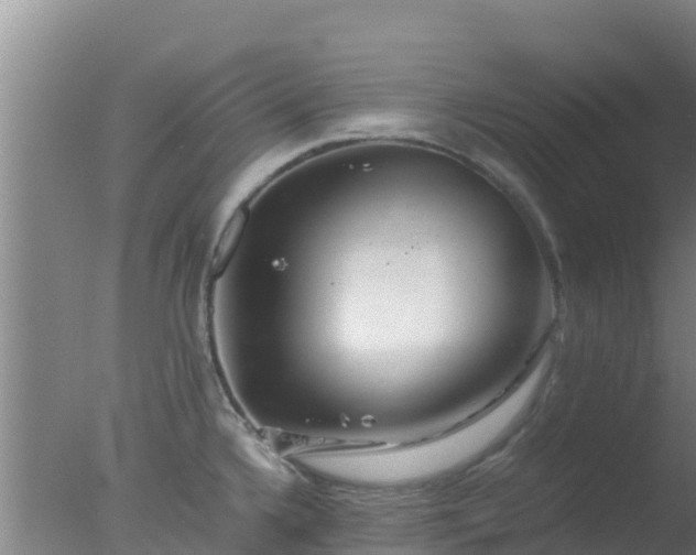 X0000077361336200610271844