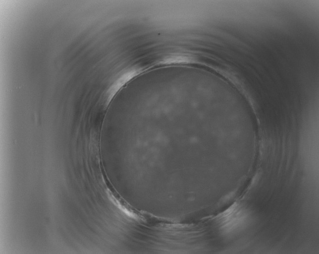 X0000077361337200610271844