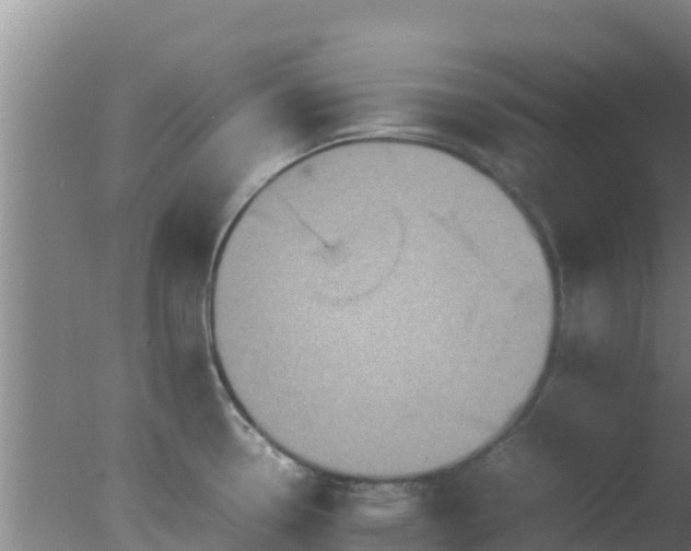 X0000077361338200610271844