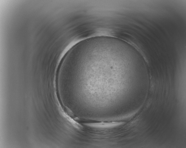 X0000077361339200610271844