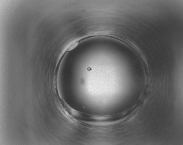 X0000077361340200610271844