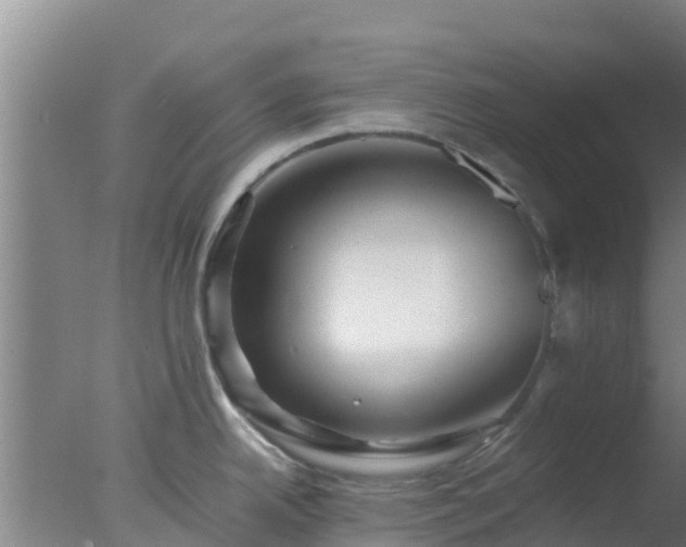 X0000077361342200610271844