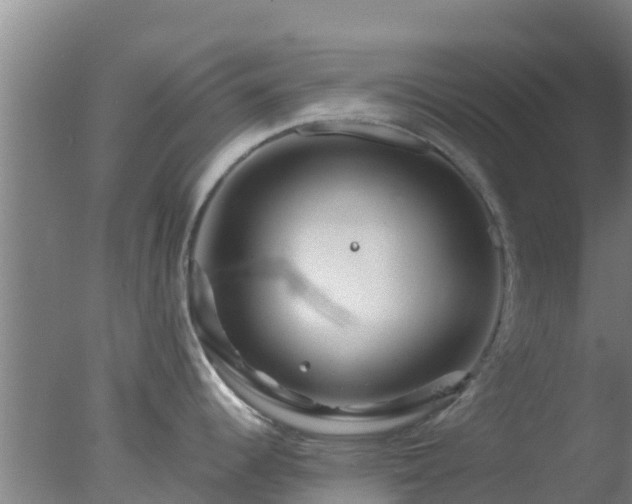 X0000077361344200610271844