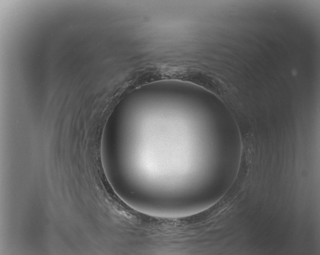 X0000077361345200610271843