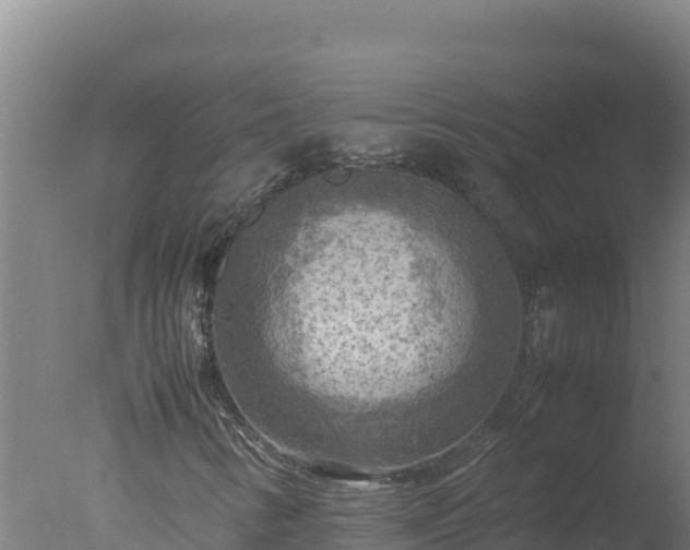 X0000077361346200610271843