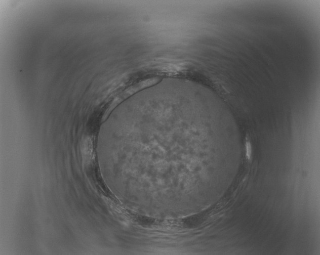 X0000077361347200610271843