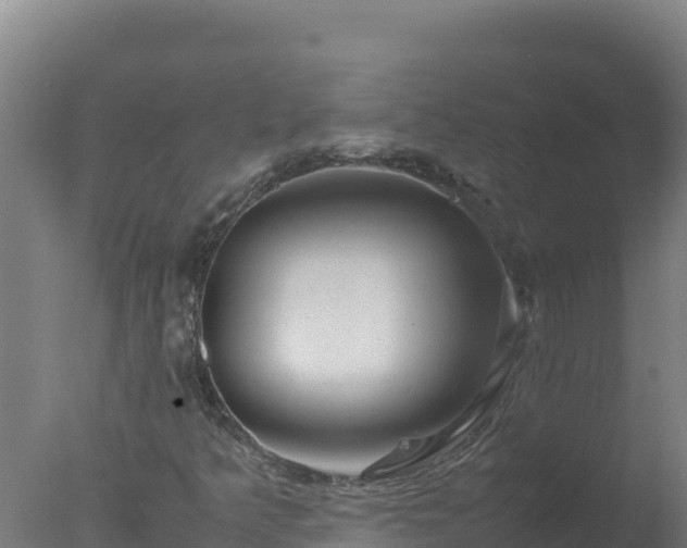 X0000077361349200610271843