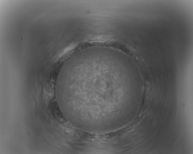 X0000077361350200610271843