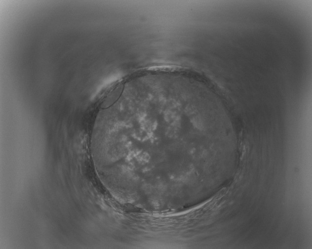 X0000077361351200610271843