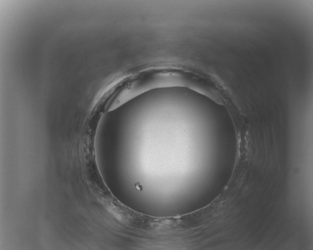 X0000077361352200610271843