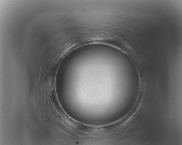 X0000077361353200610271843