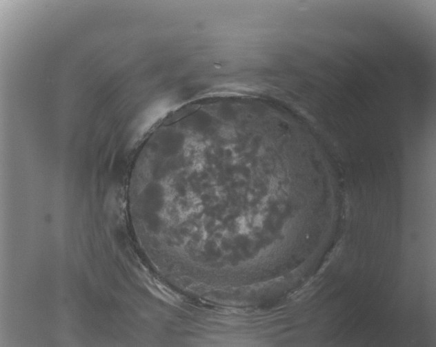 X0000077361355200610271843