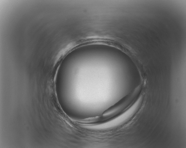 X0000077361357200610271843