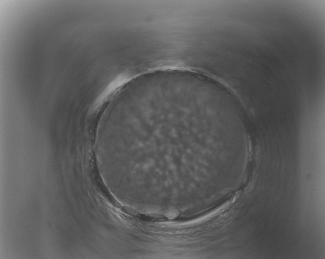 X0000077361359200610271843