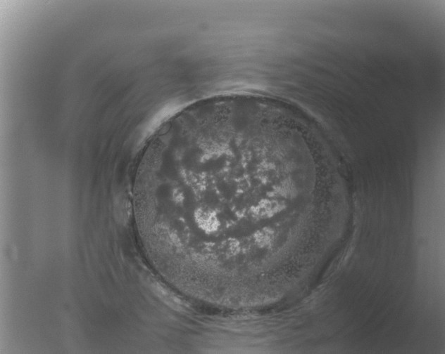 X0000077361363200610271843