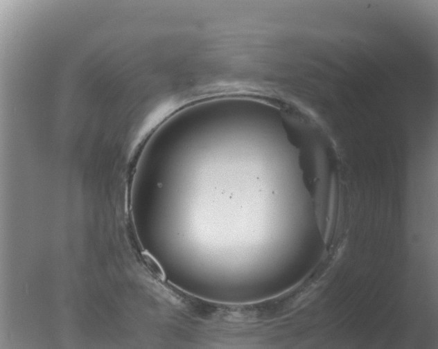 X0000077361365200610271843