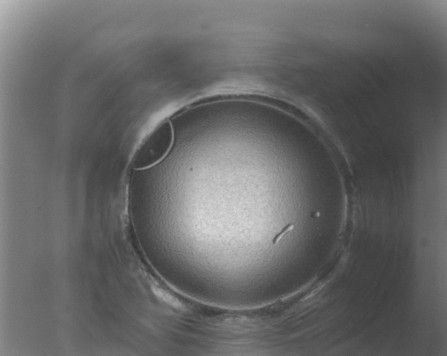 X0000077361366200610271843