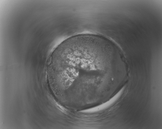 X0000077361367200610271843