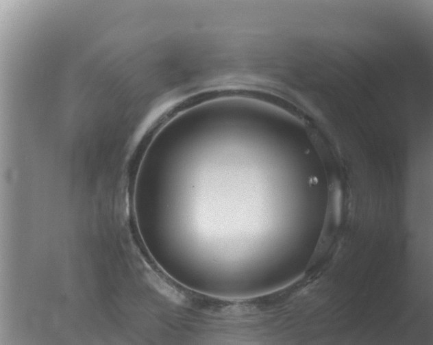 X0000077361368200610271843