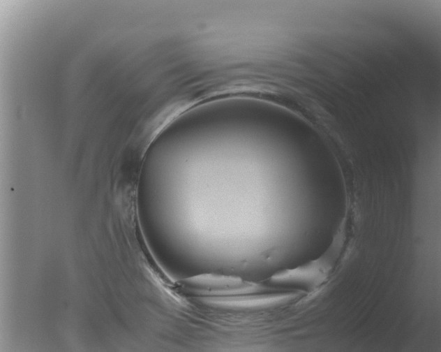 X0000077361369200610271843