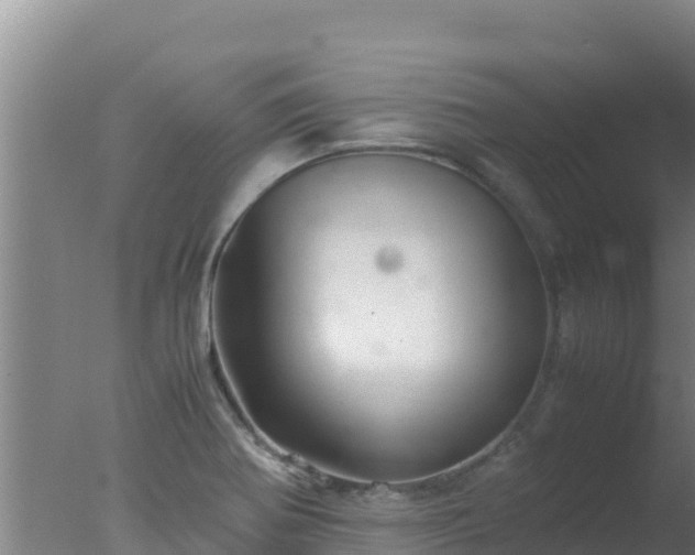 X0000077361370200610271843