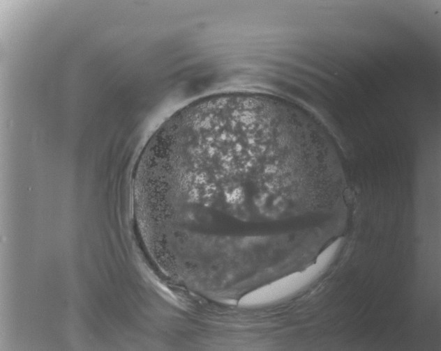 X0000077361371200610271843