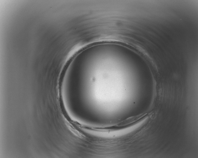 X0000077361372200610271843