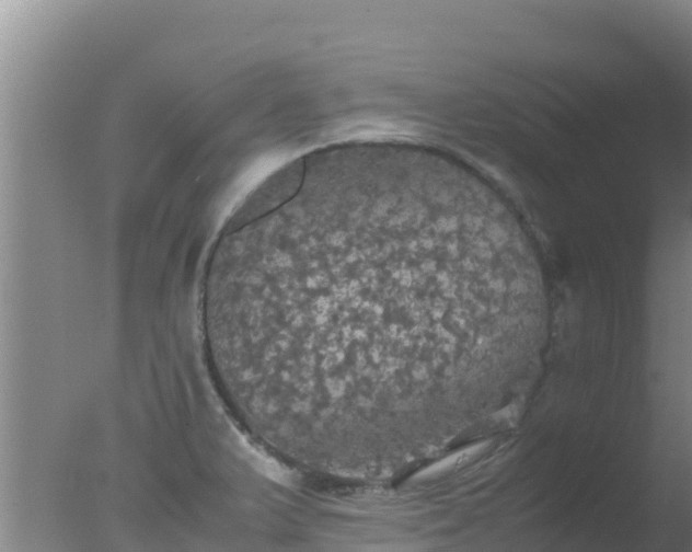 X0000077361375200610271843