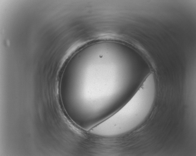 X0000077361376200610271843