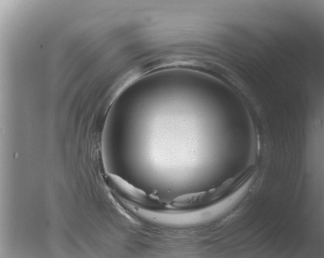 X0000077361377200610271843