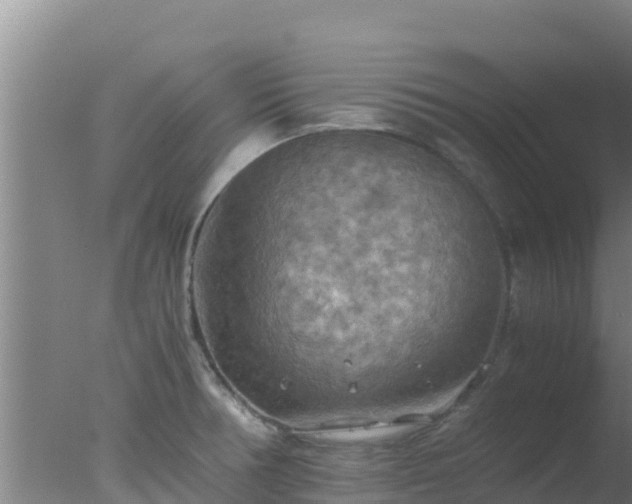 X0000077361378200610271843