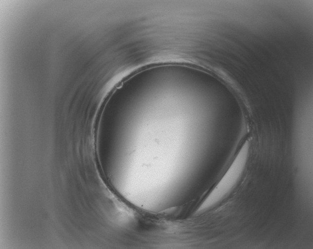 X0000077361380200610271843