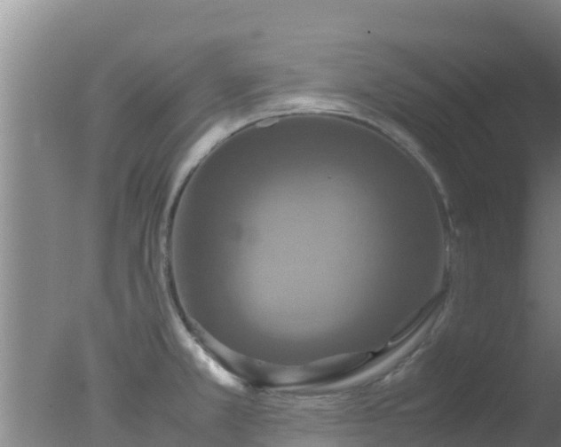 X0000077361381200610271843