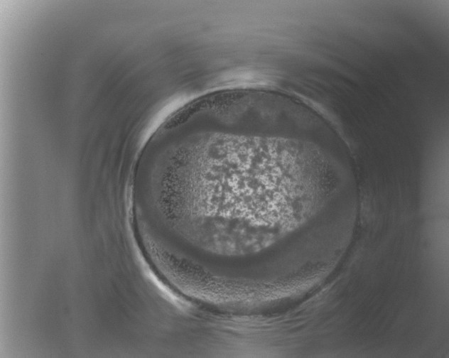 X0000077361383200610271843